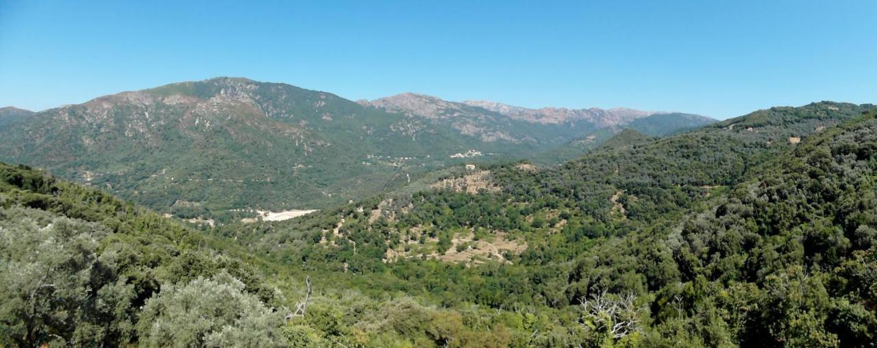 Ferienwohnung Casa Nepita Sur Vue Grandiose Santa-Lucia-di-Tallano Exterior foto